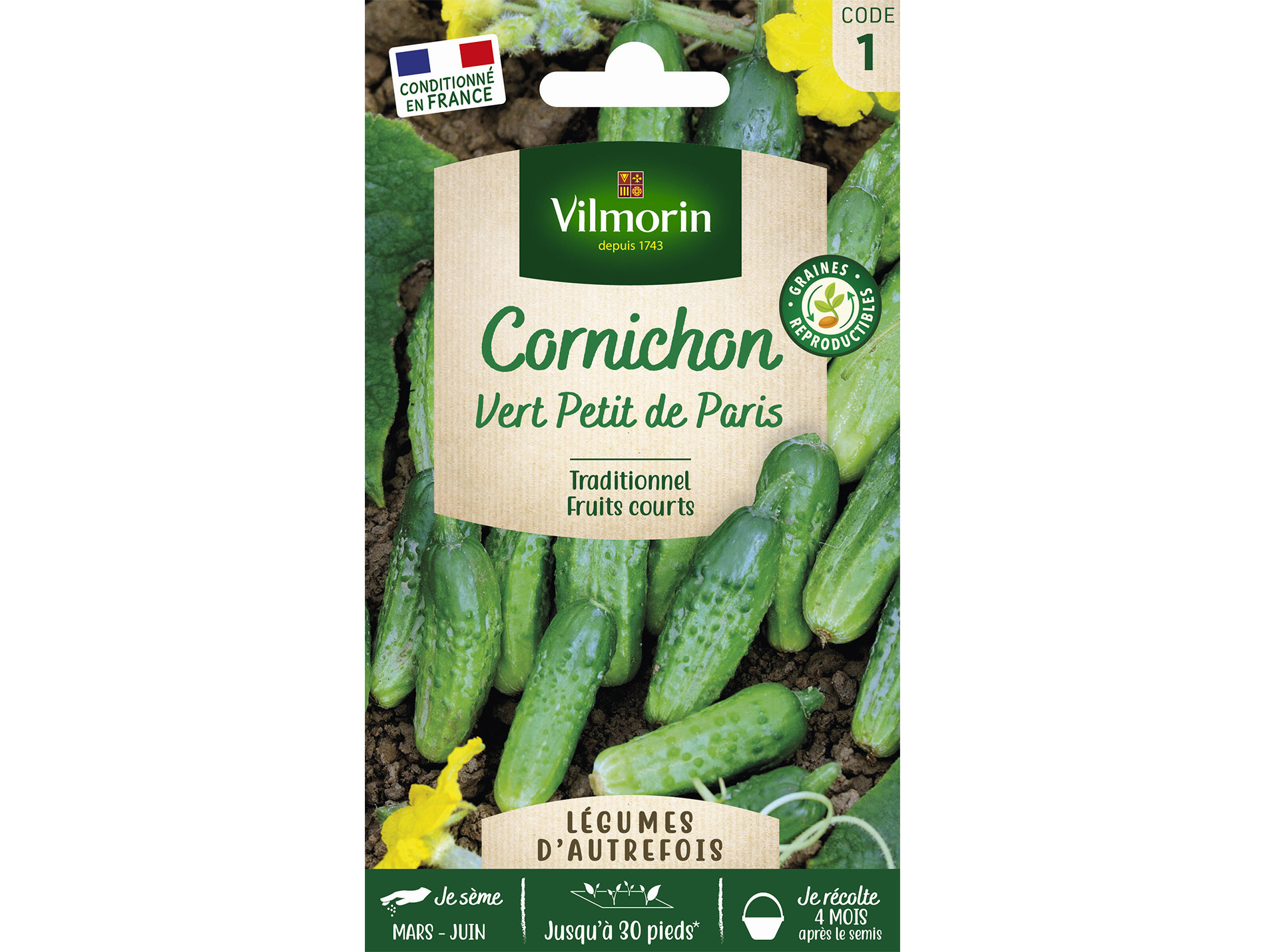 Cornichon Vert Petit de Paris VILMORIN Série 1