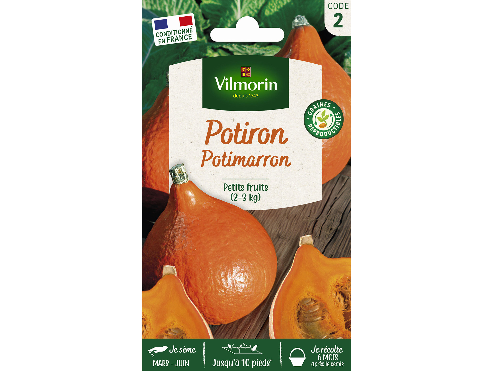 Potiron Potimarron VILMORIN Série 2