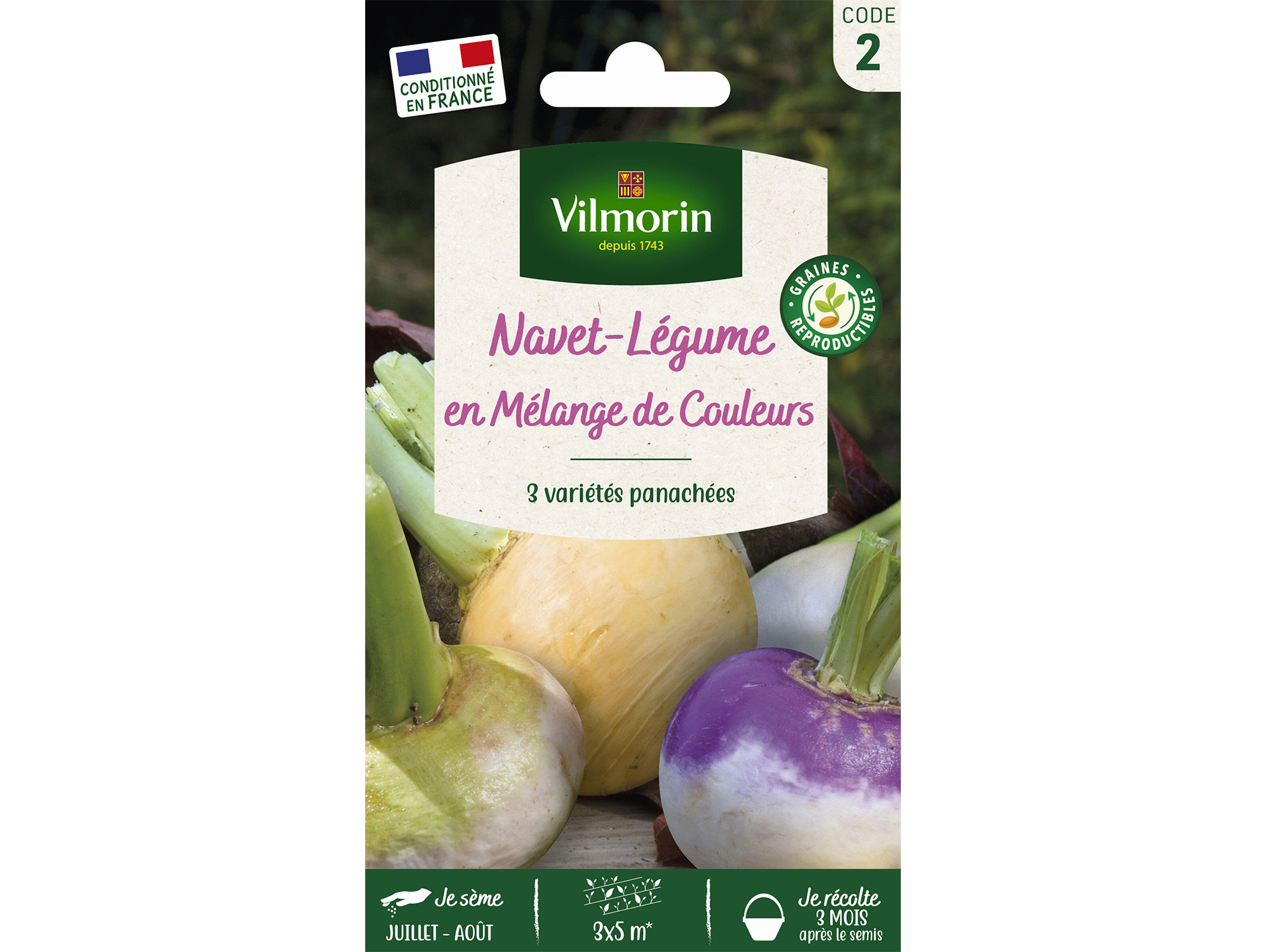 Navet-Légume en Mélange de Couleurs VILMORIN Série 2