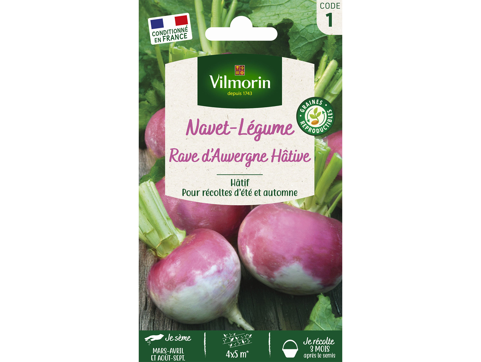 Navet-Légume Rave d'Auvergne Hâtive VILMORIN Série 1