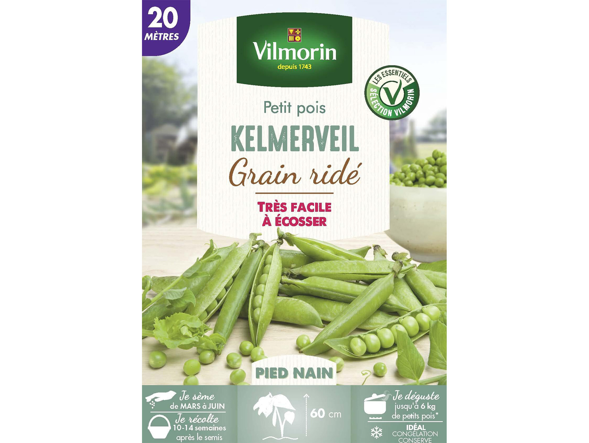 Pois nain à grain ridé Kelmerveil VILMORIN 20M