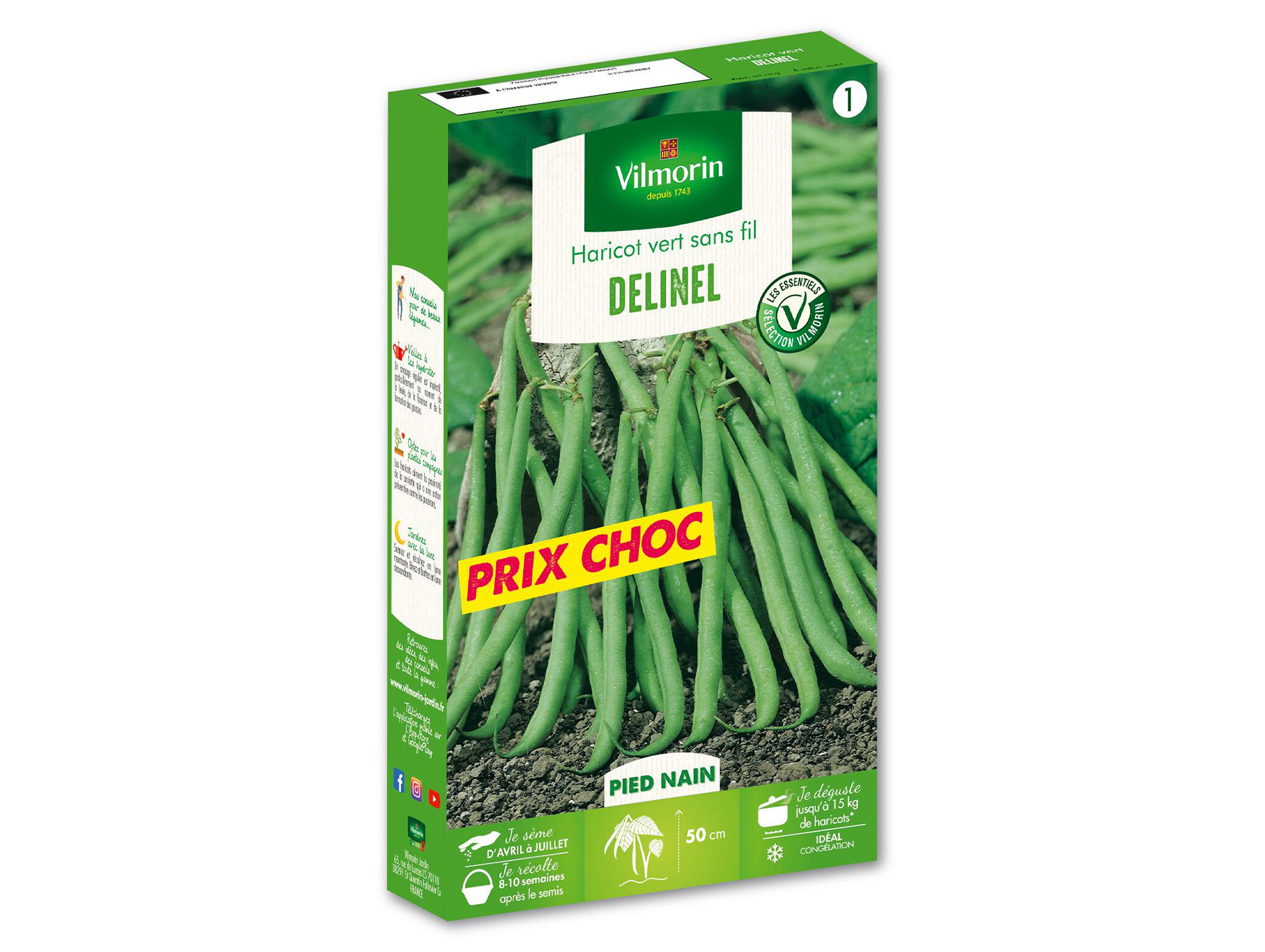 Haricot nain vert Delinel VILMORIN Série 1