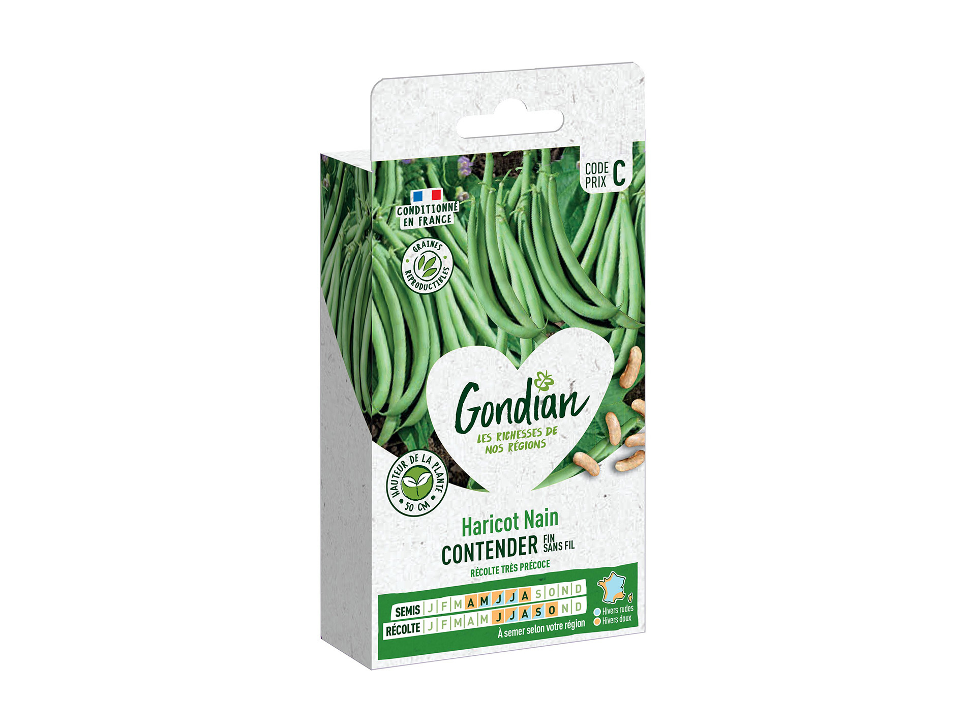 Haricot nain Contender GONDIAN Série C
