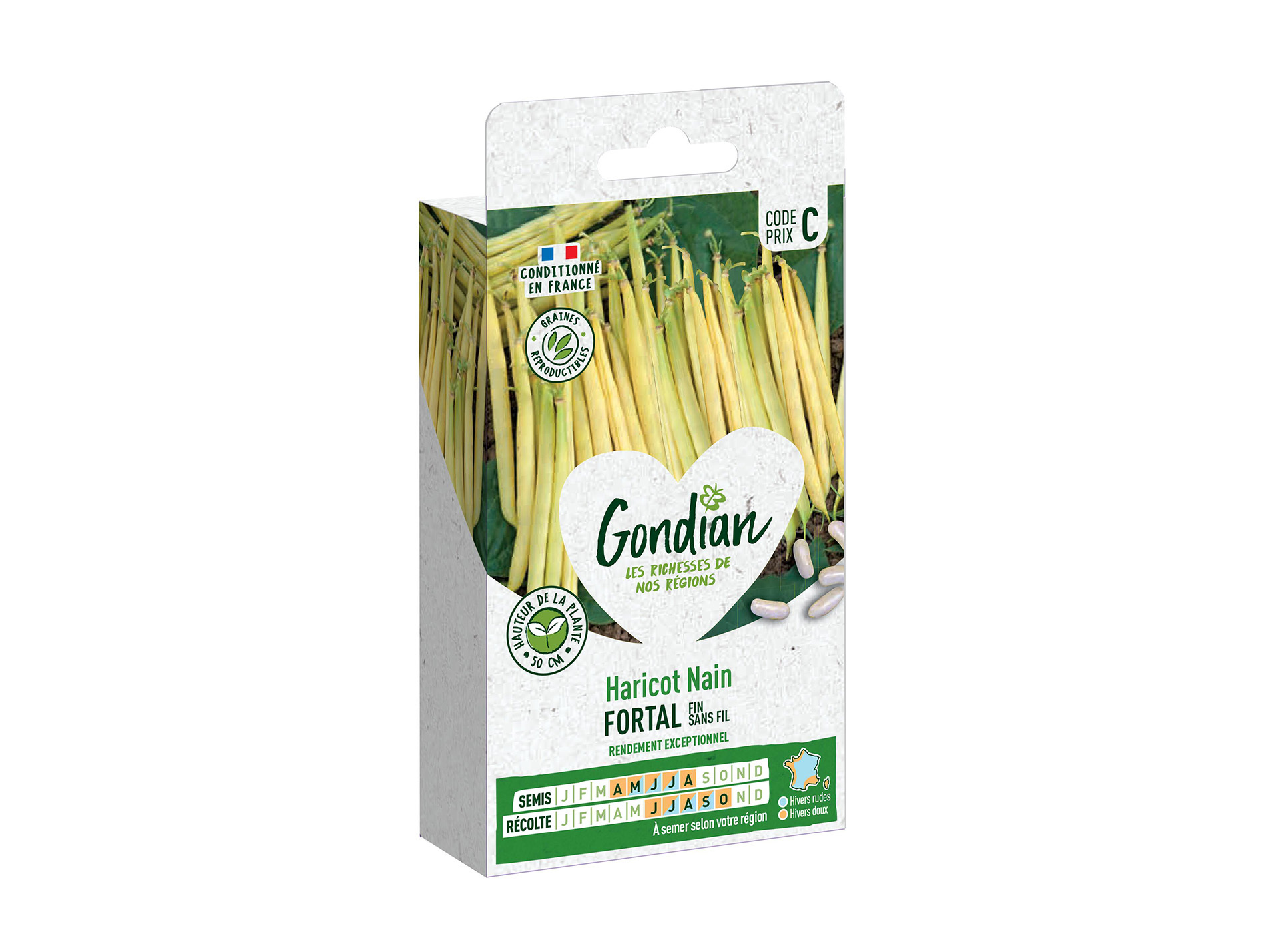 Haricot nain Fortal GONDIAN Série C
