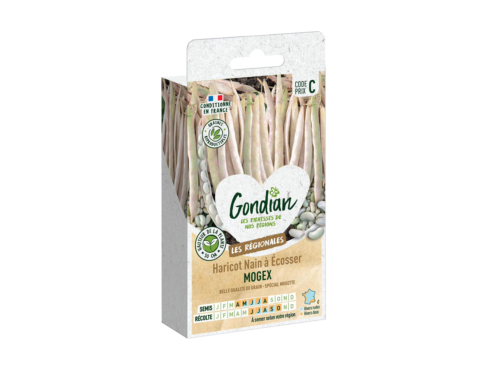 Haricot nain à écosser Mogex GONDIAN Série C