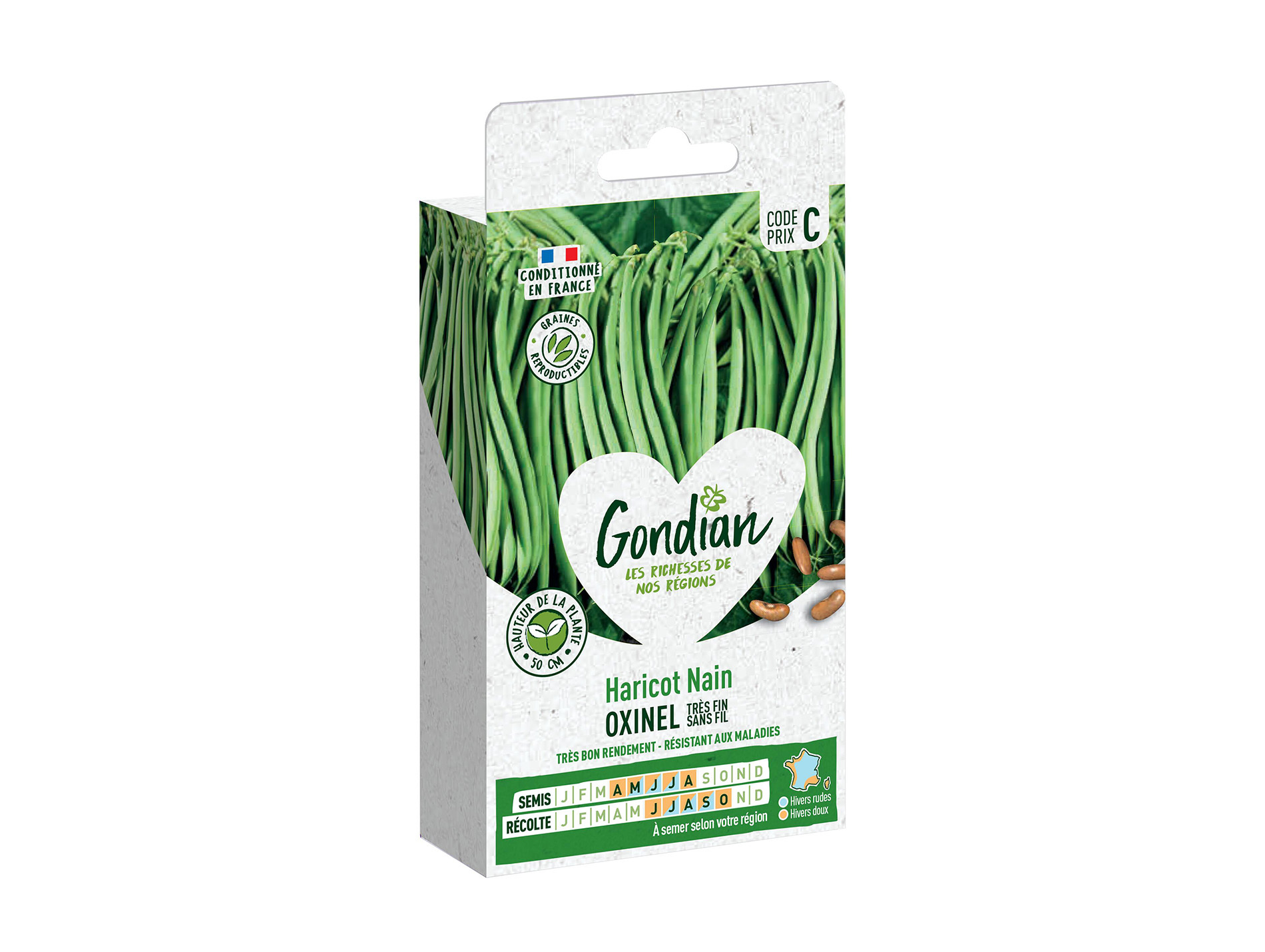 Haricot nain Oxinel GONDIAN Série C