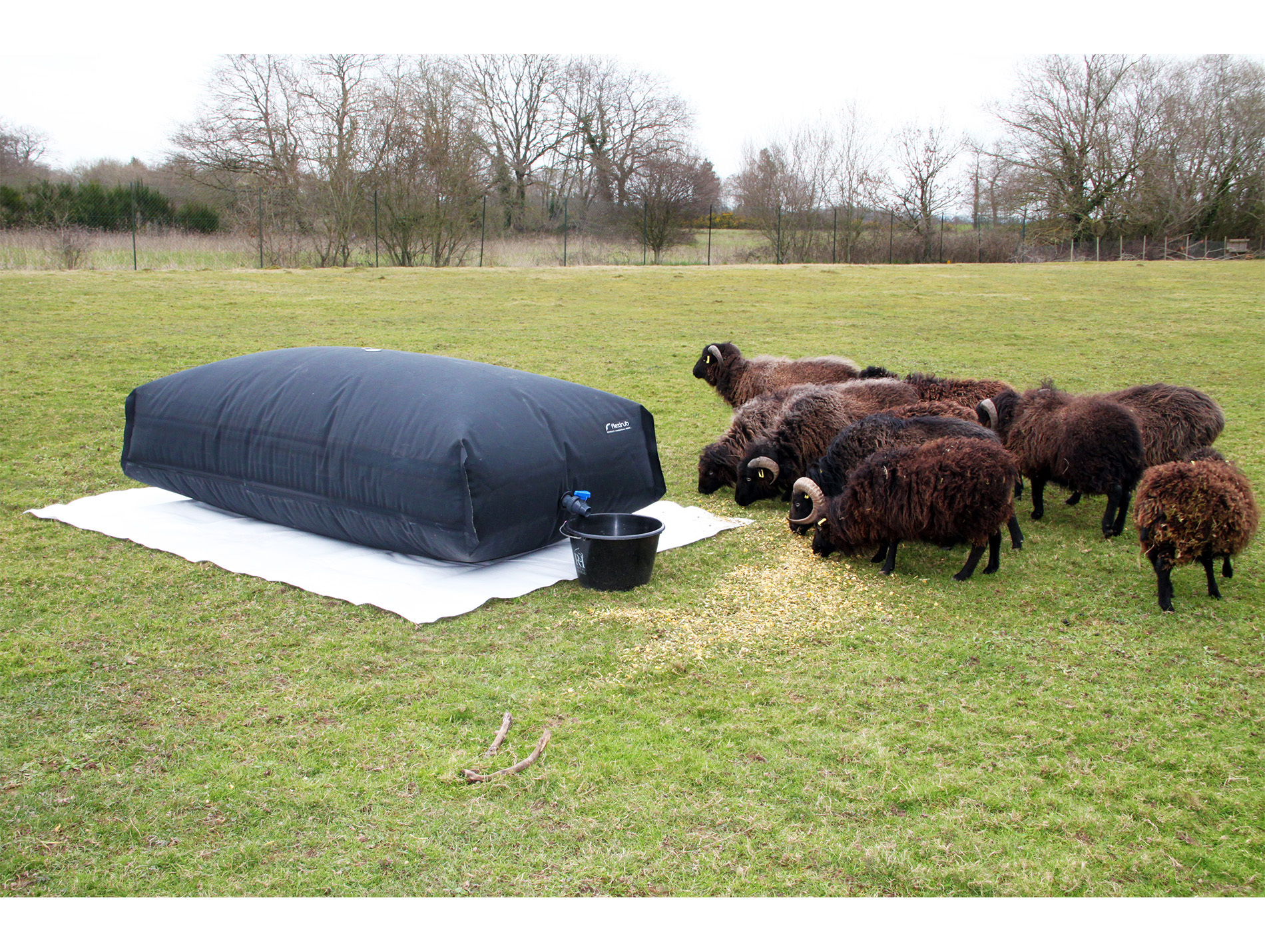 Citerne souple rectangulaire EPDM 1000L