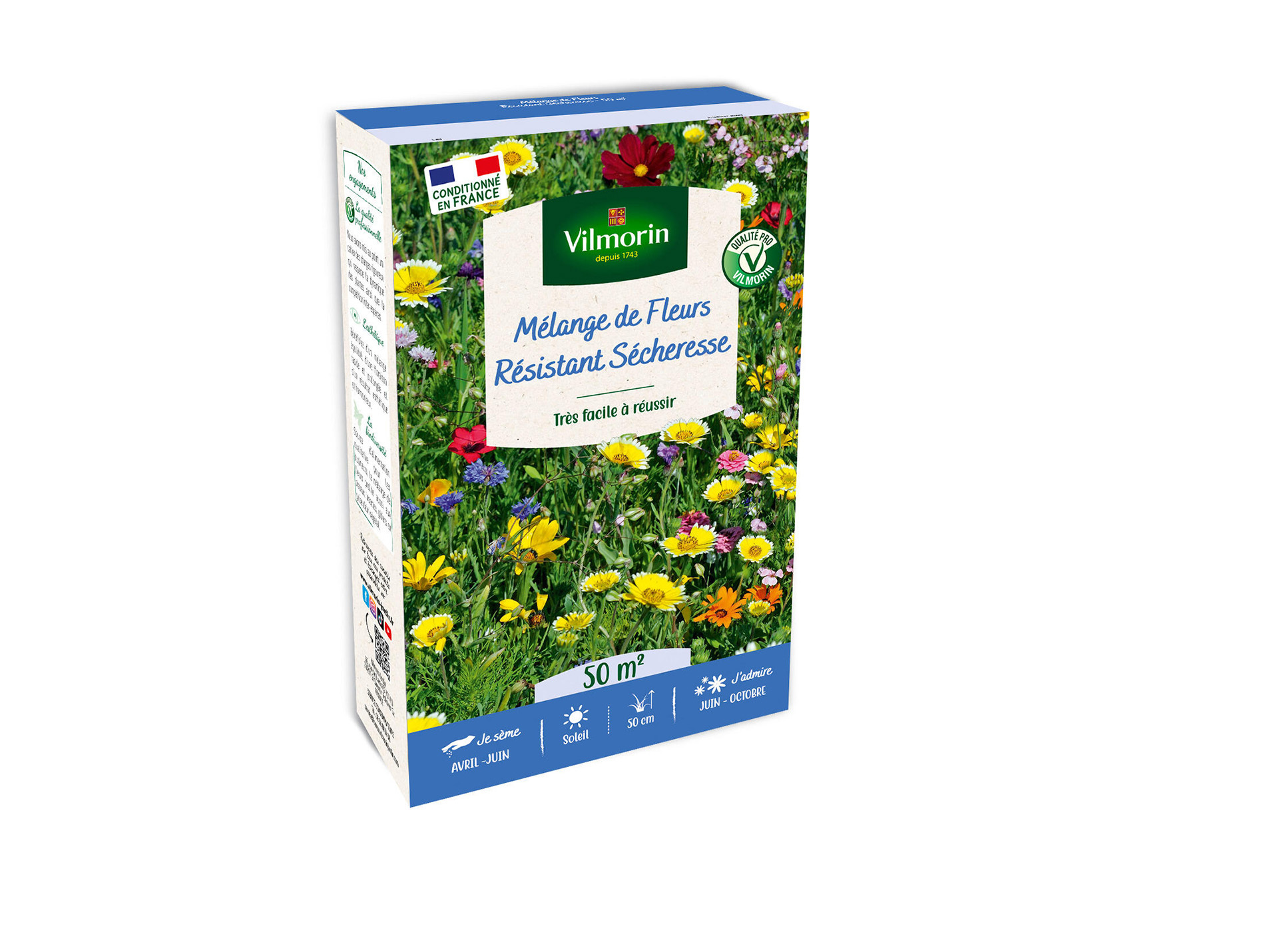 Mélange de fleurs GONDIAN terrain sec 50m²