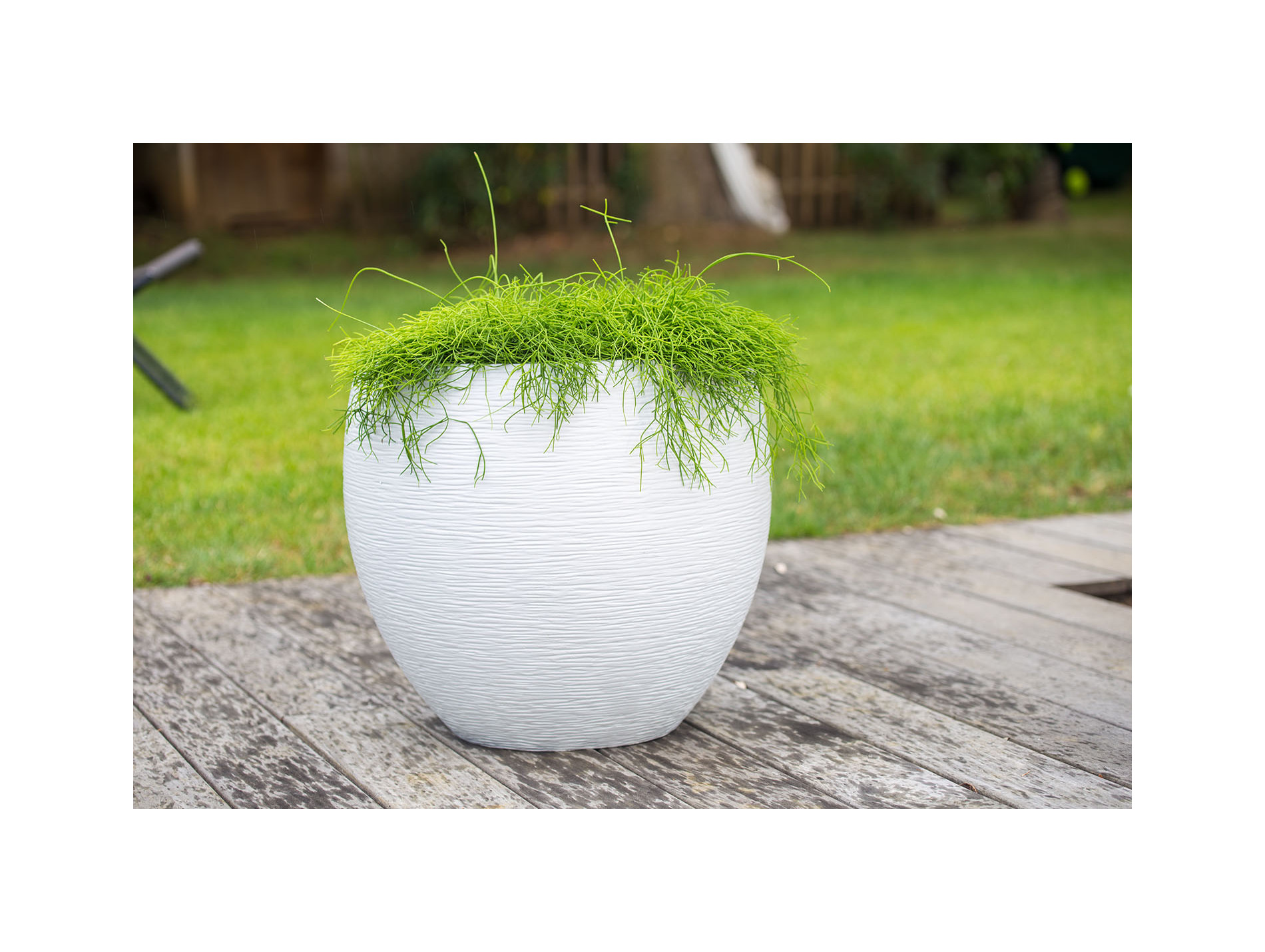 Pot EDA Egg Graphit ø50cm