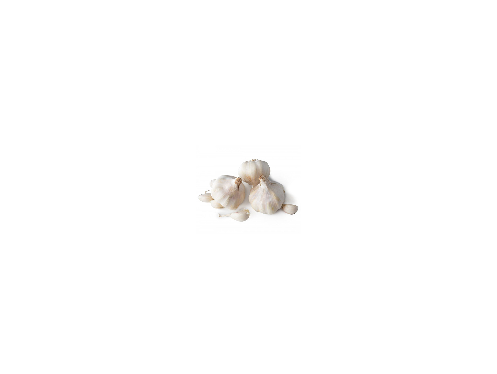 Bulbes ail blanc FERTINATURE Messidrome 500g