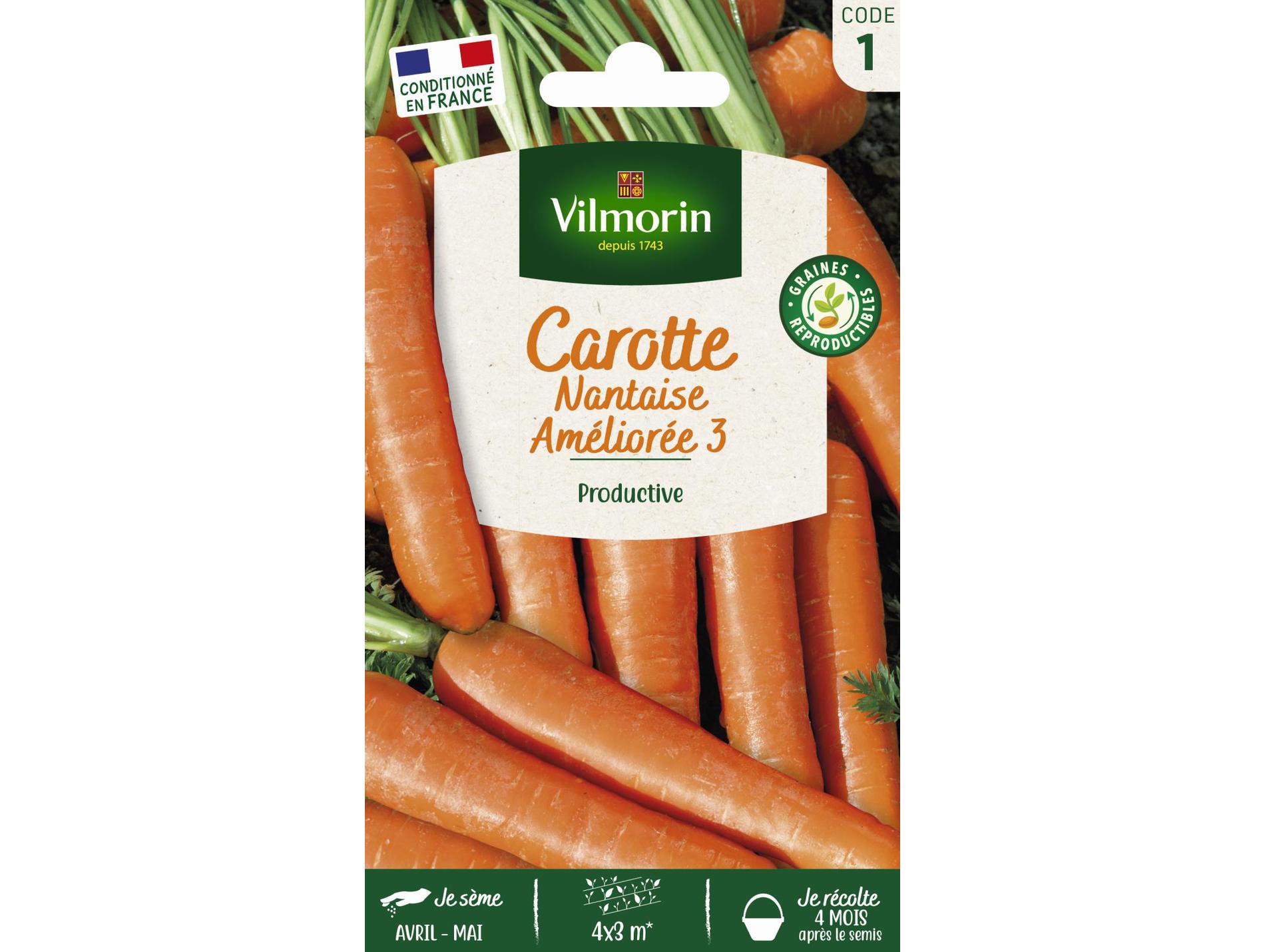 Carotte Nantaise améliorée 3 VILMORIN Série 1