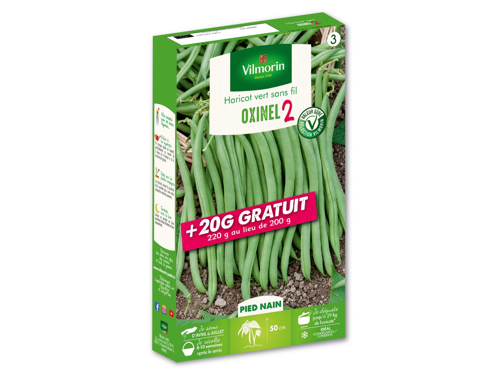 Haricot nain vert Oxinel 2 VILMORIN Série 2 +20g gratuit