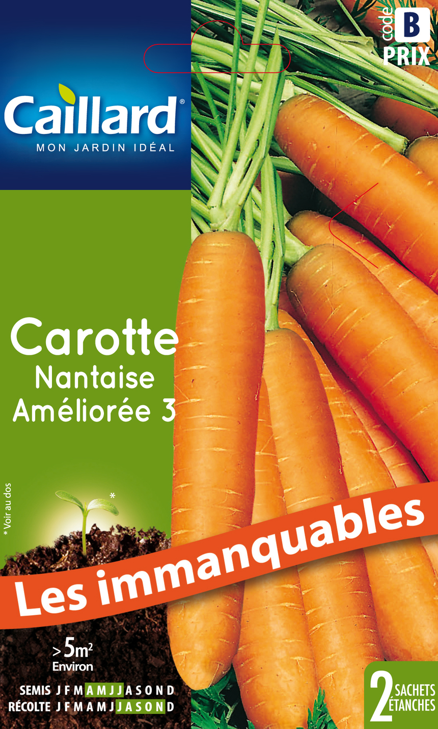 Carotte CAILLARD Nantaise améliorée 3