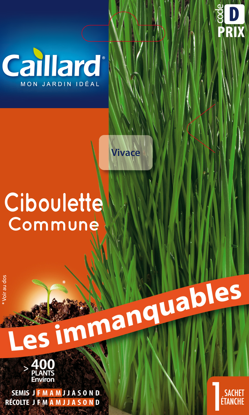 Semences aromatiques CAILLARD ciboulette