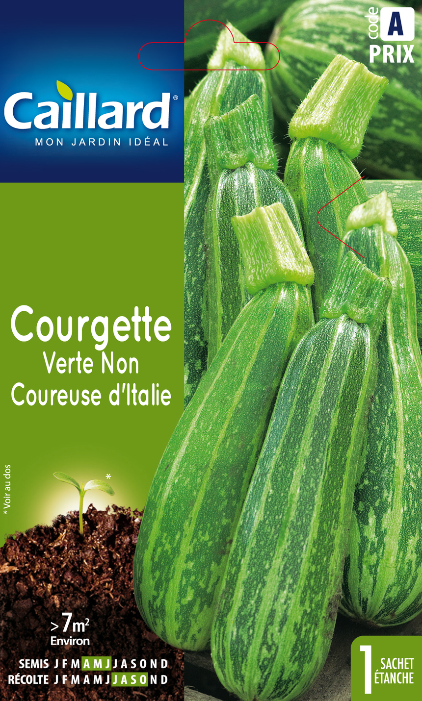 Courgette CAILLARD verte non coureuse d'Italie