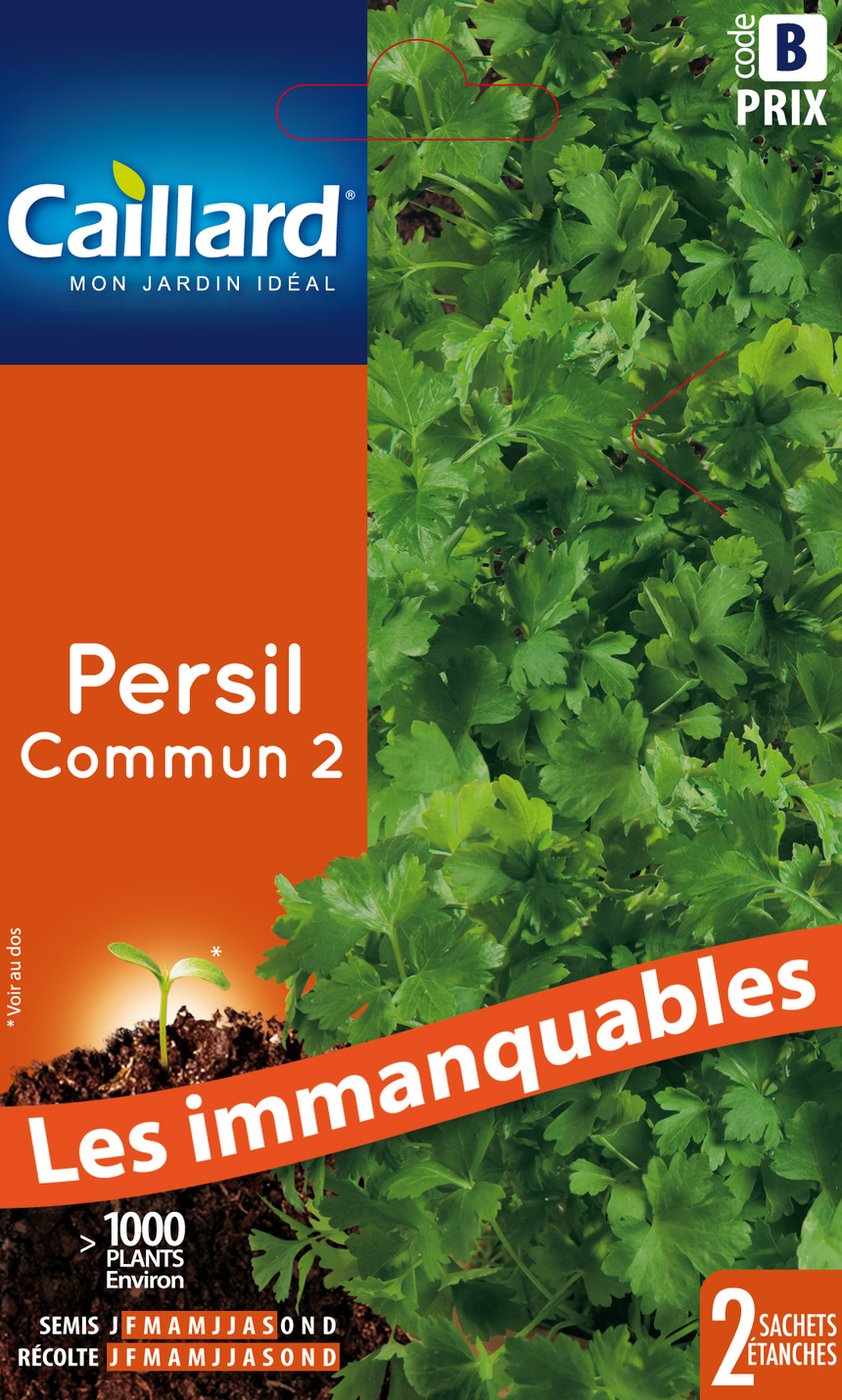 Semences aromatiques CAILLARD persil commun 2