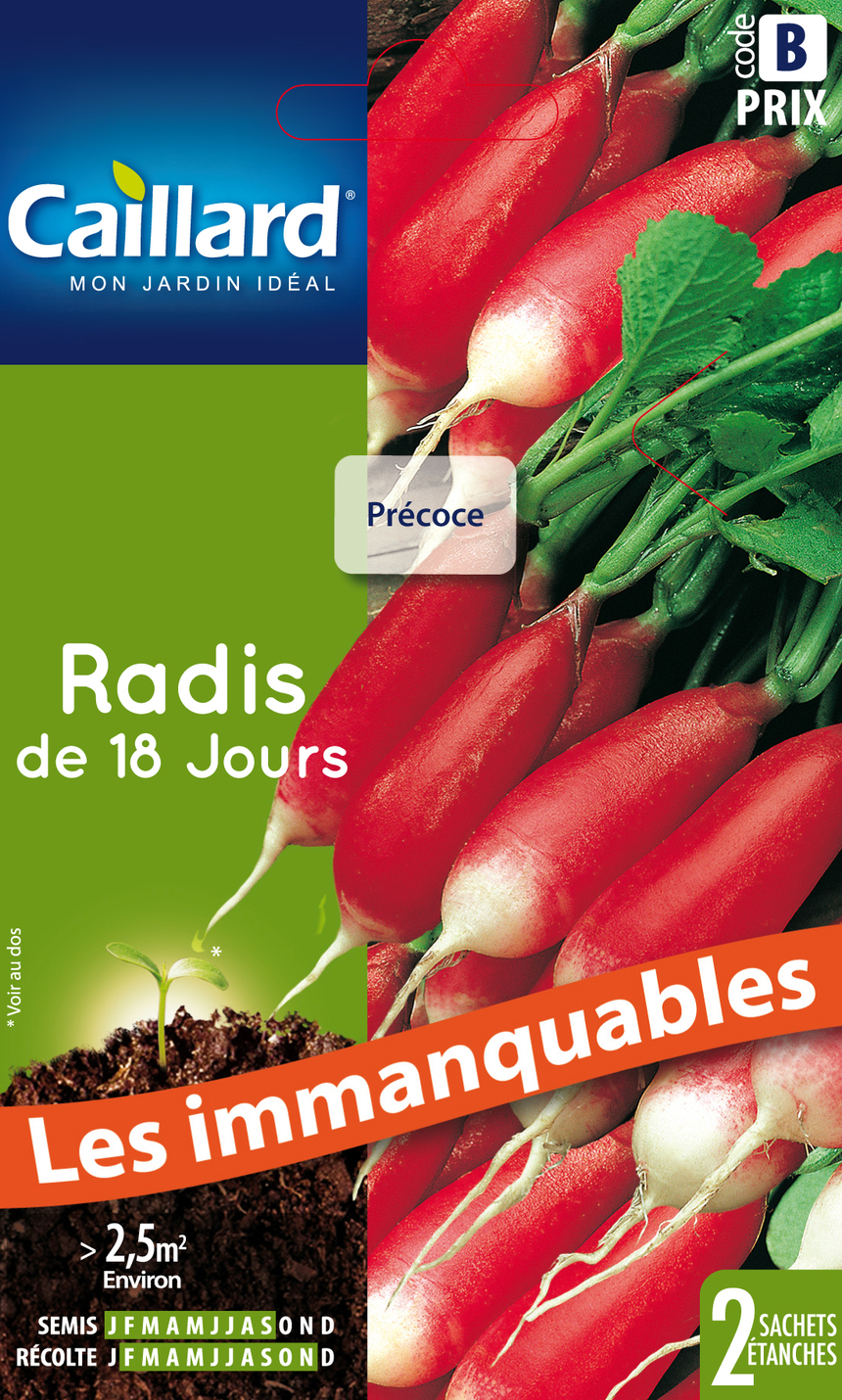 Radis CAILLARD de 18 jours