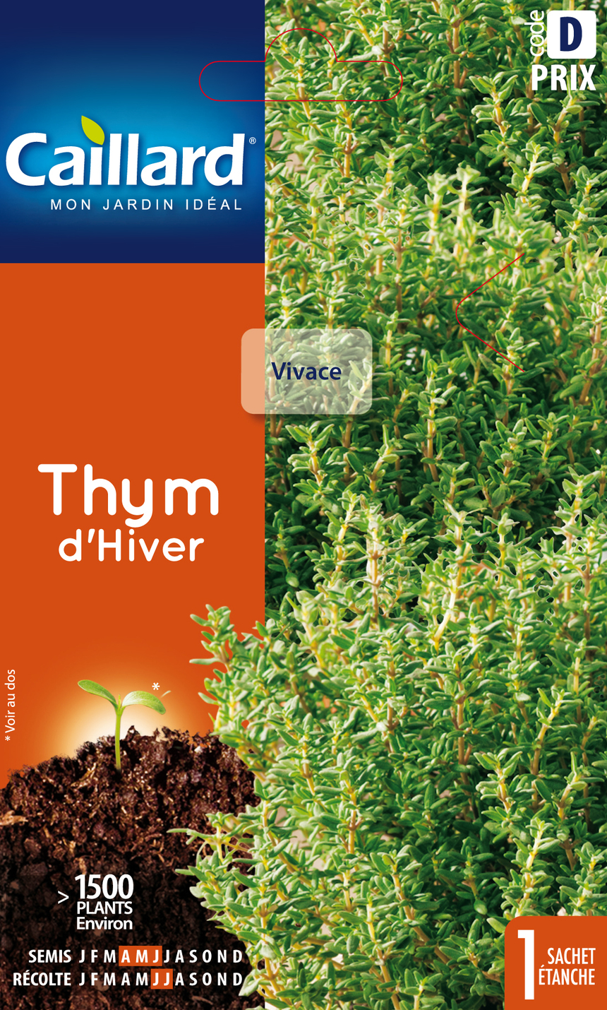 Semences aromatiques CAILLARD thym d'hiver