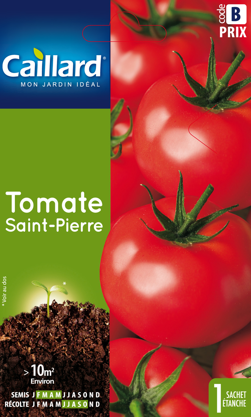 Tomate CAILLARD Saint-Pierre