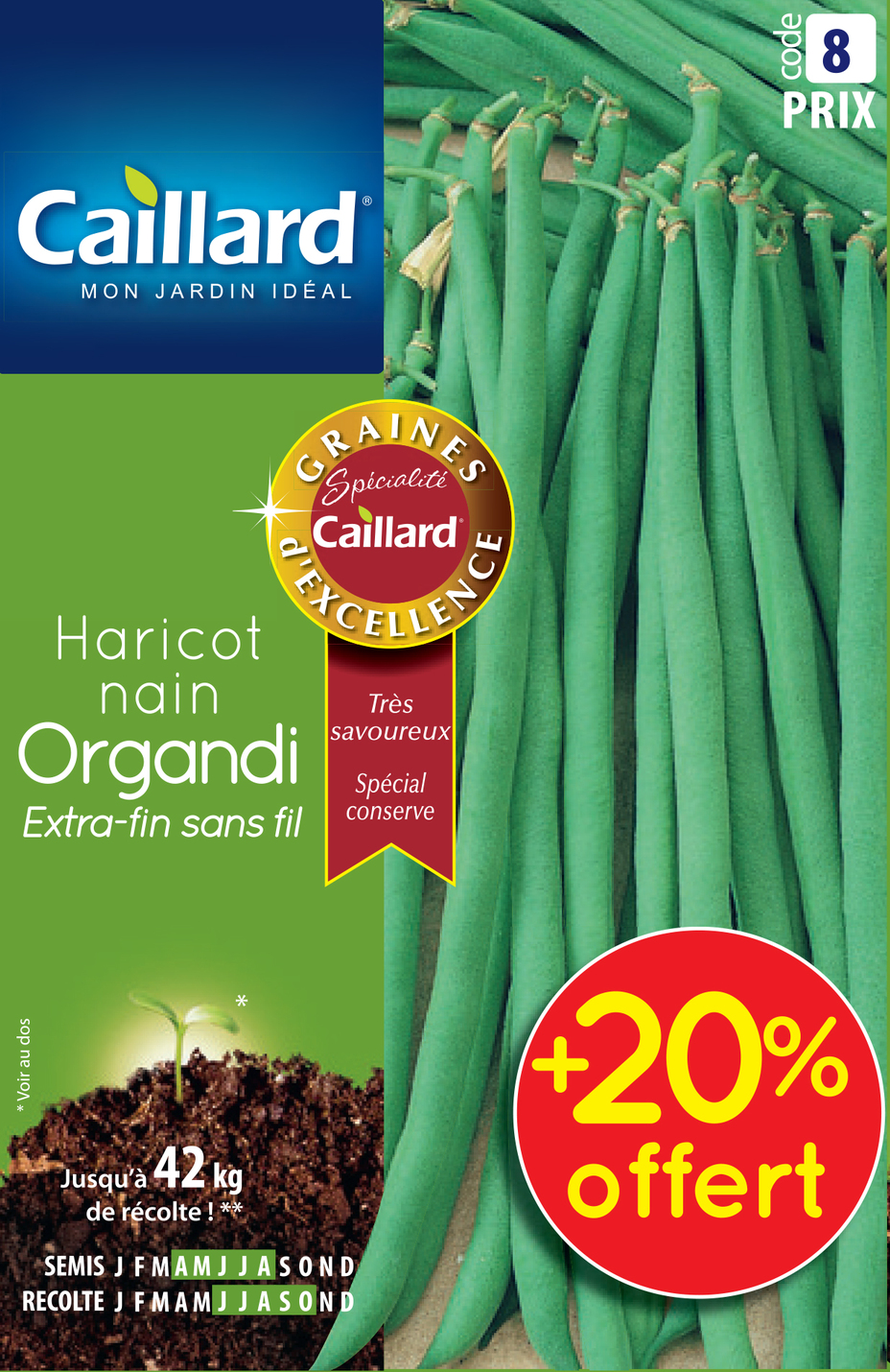 Haricot CAILLARD nain extra-fin Organdi