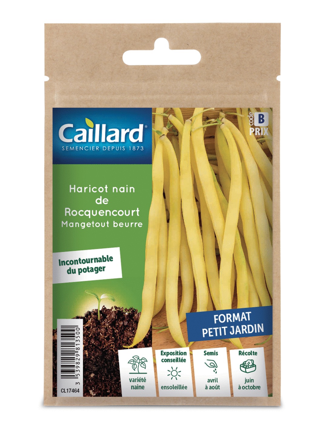 Haricot CAILLARD nain beurre de Rocquencourt