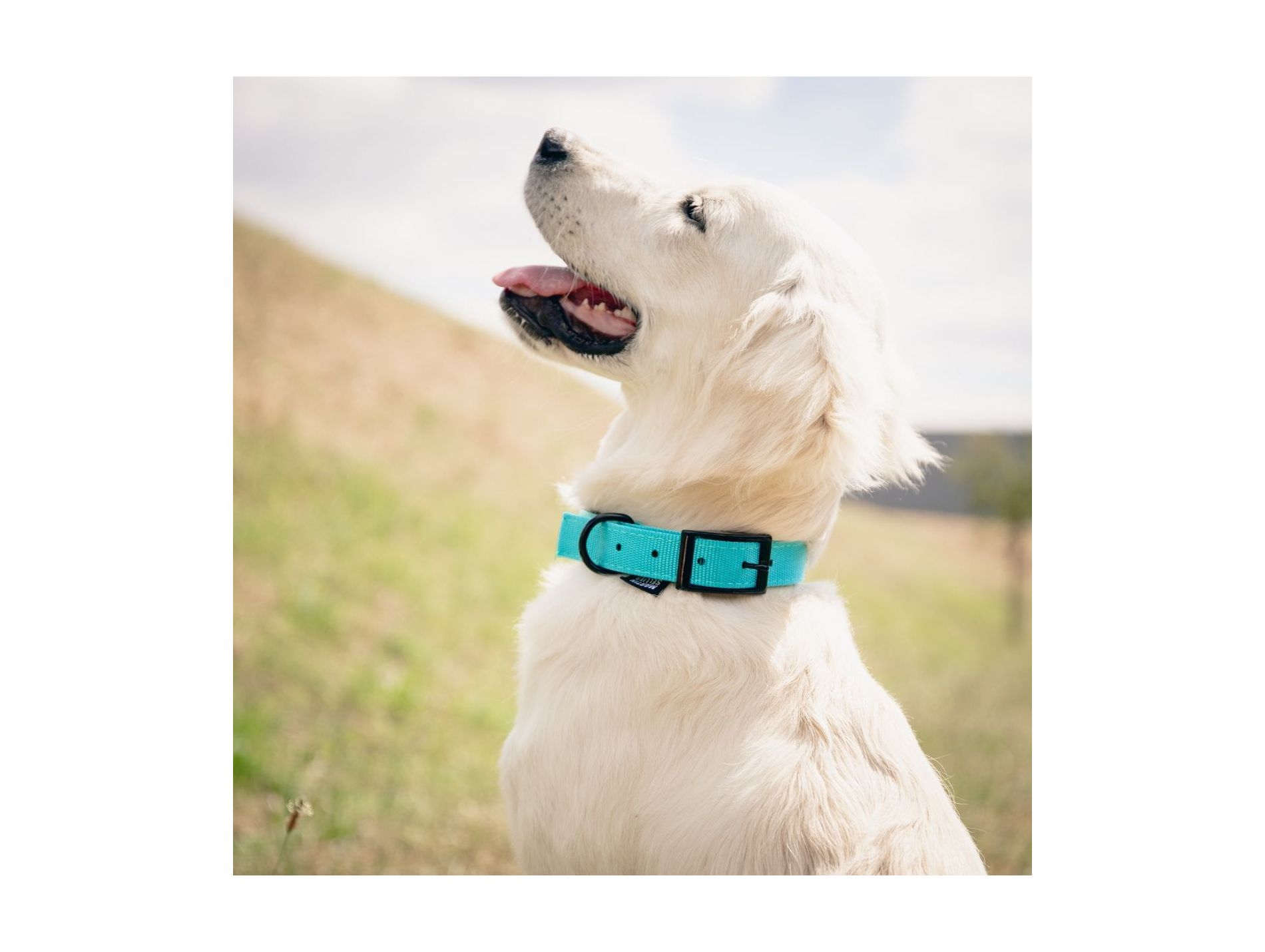 Collier MARTIN SELLIER nylon confort 25-55 turquoise