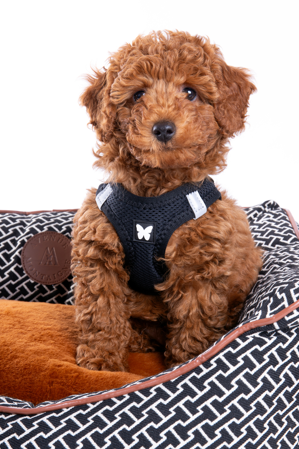 Corbeille domino MARTIN SELLIER marron 90x70x27cm