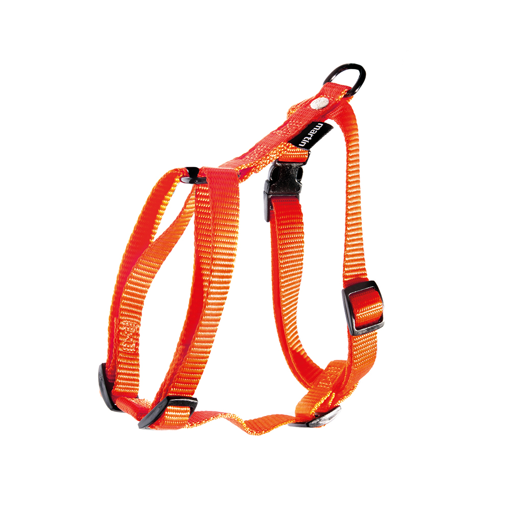 Harnais chien MARTIN SELLIER nylon 1cm 21-33/23-36 orange