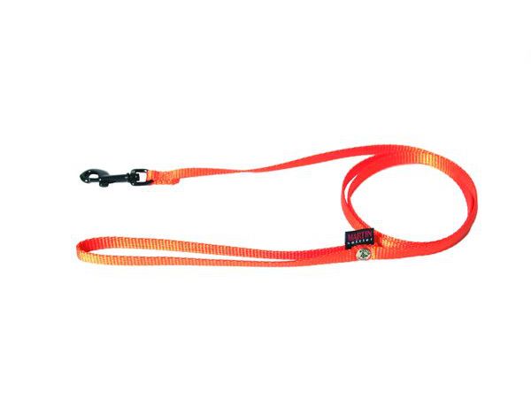 Laisse nylon simple MARTIN SELLIER orange 1cm 120cm