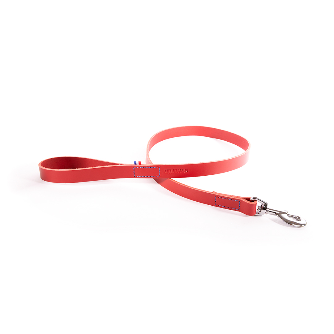 Laisse chien cuir 2x100cm rouge
