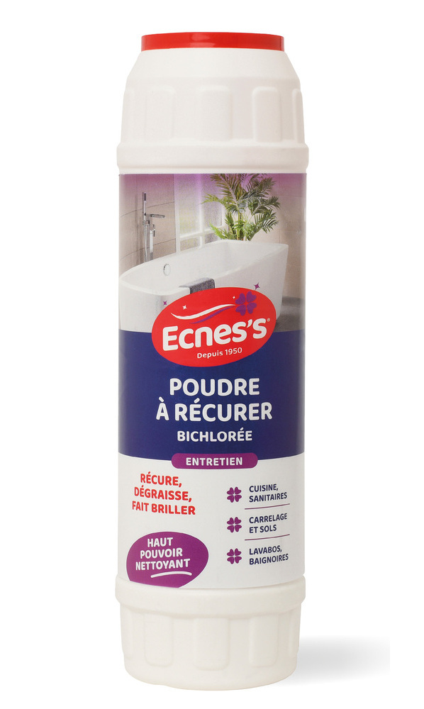 Poudre à récurer ECNESS bichlorée 1kg