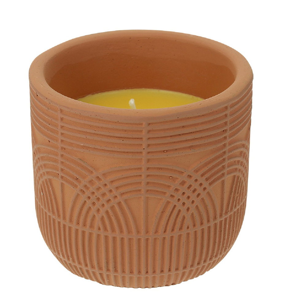 Bougie citronnelle DEVINEAU terre cuite 180g