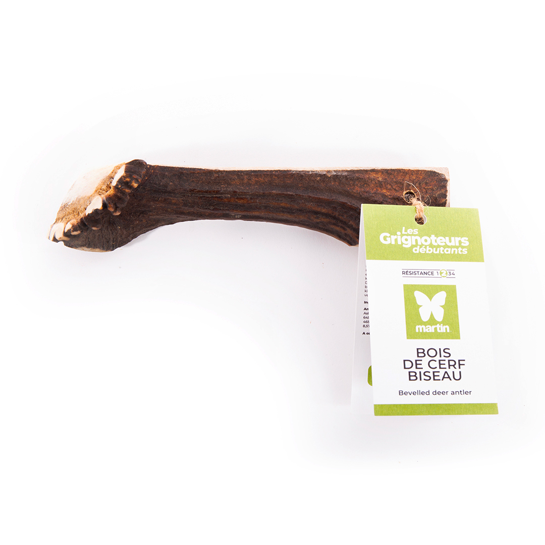 Demi bois de cerf MARTIN SELLIER biseau L 90-120g