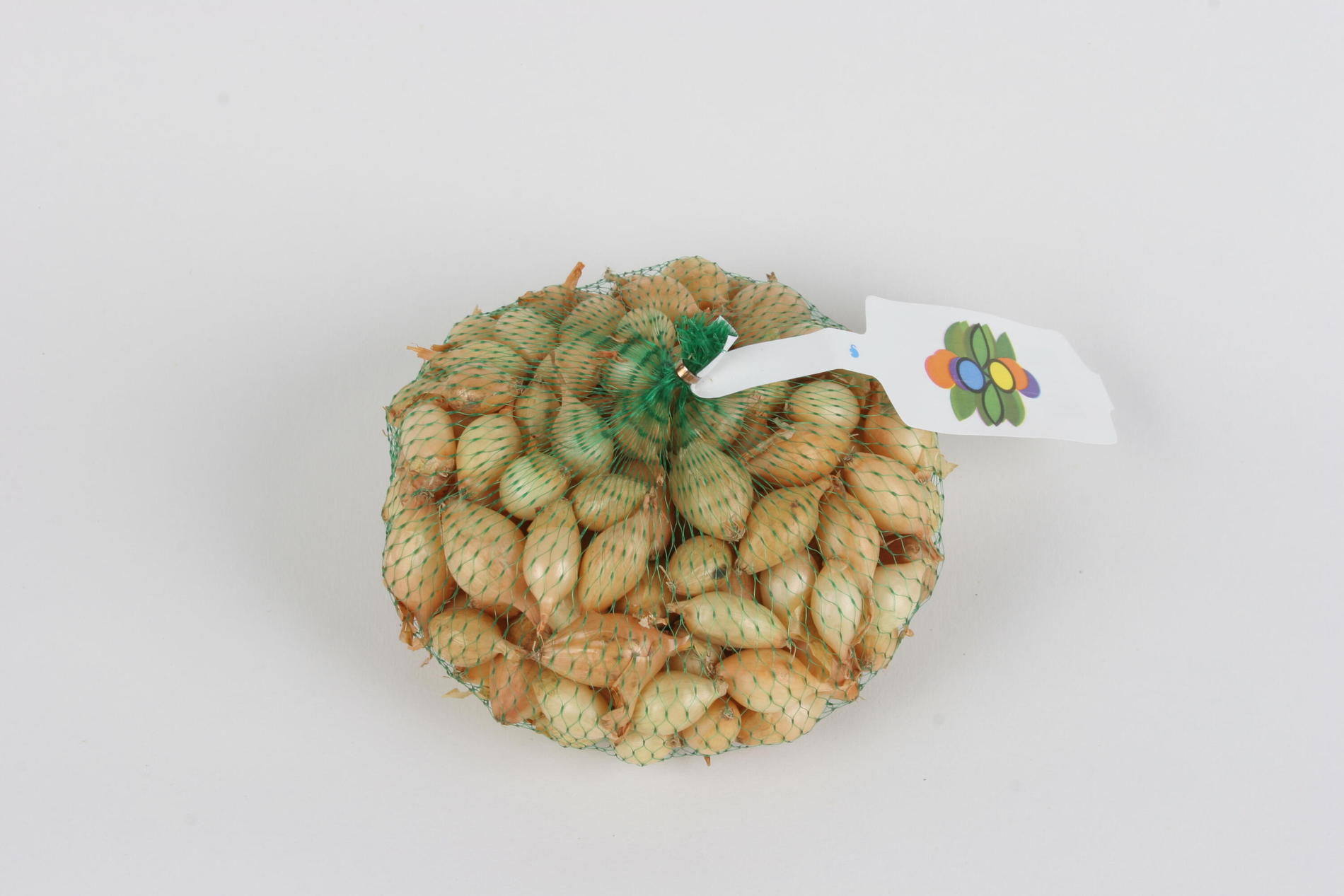 Oignon Sturon 14-21 500g