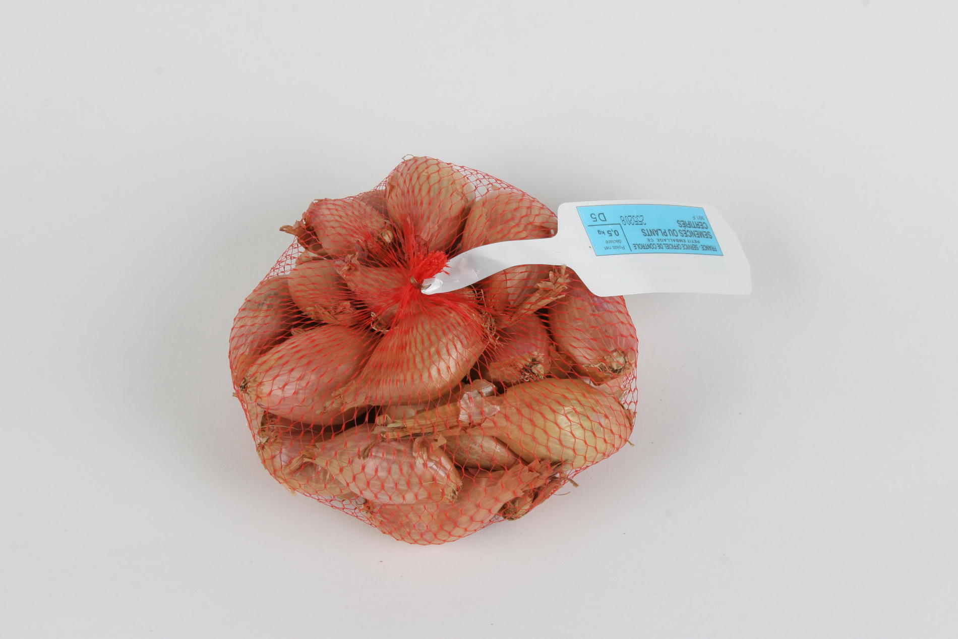 Échalote Jermor 15-35 500g