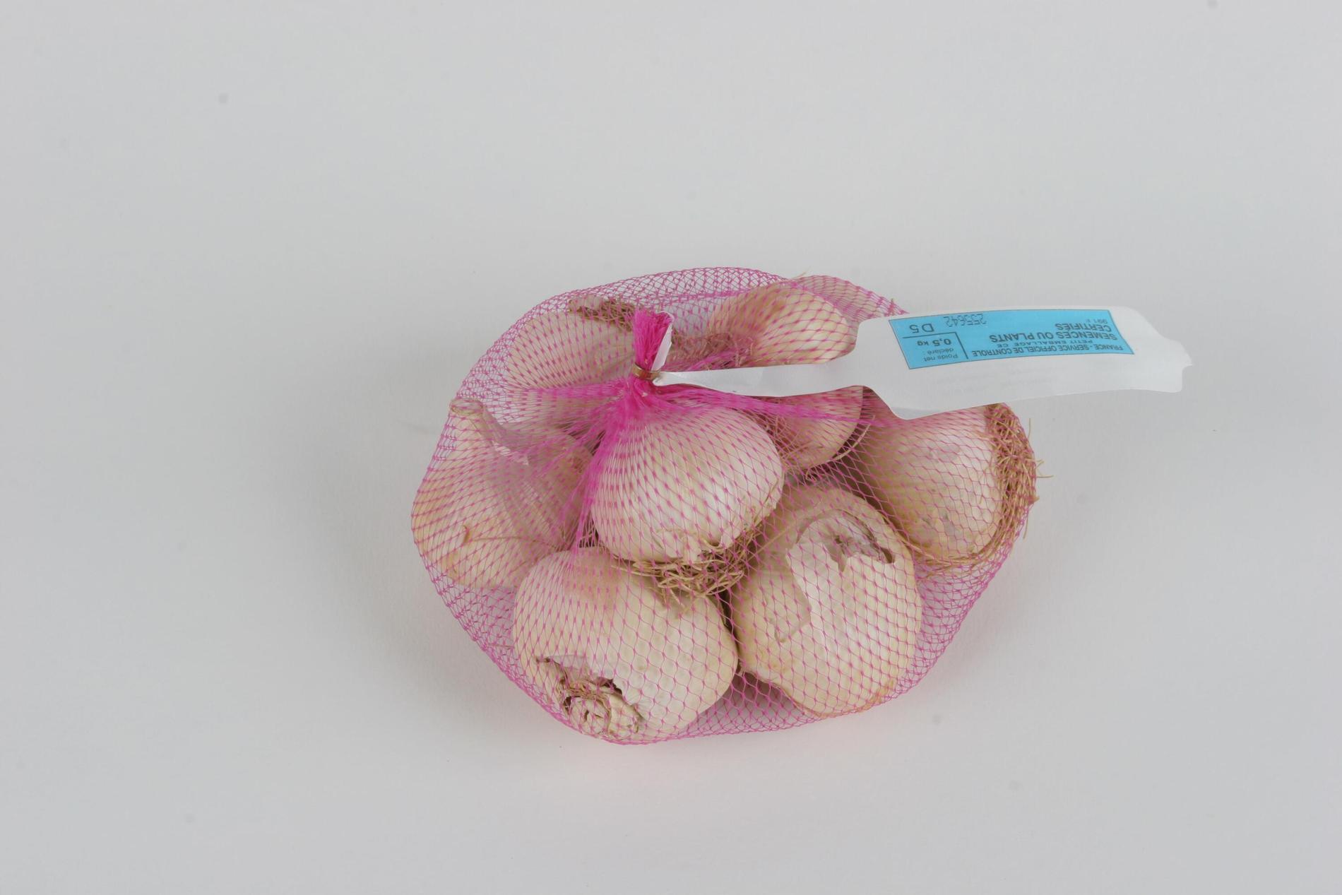 Ail Edenrose 45-60 500g