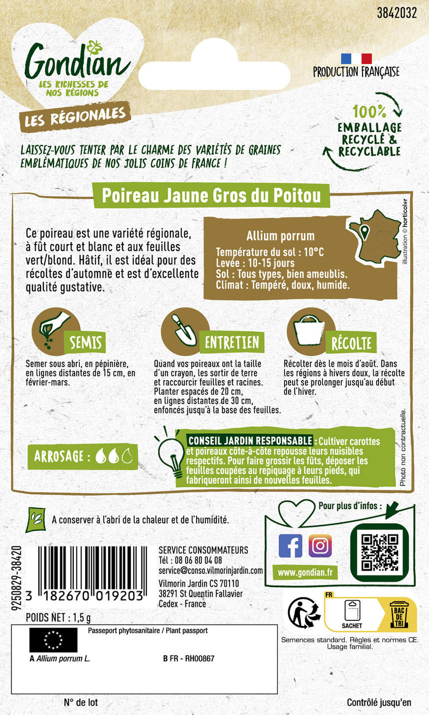 Poireau GONDIAN jaune gros du Poitou