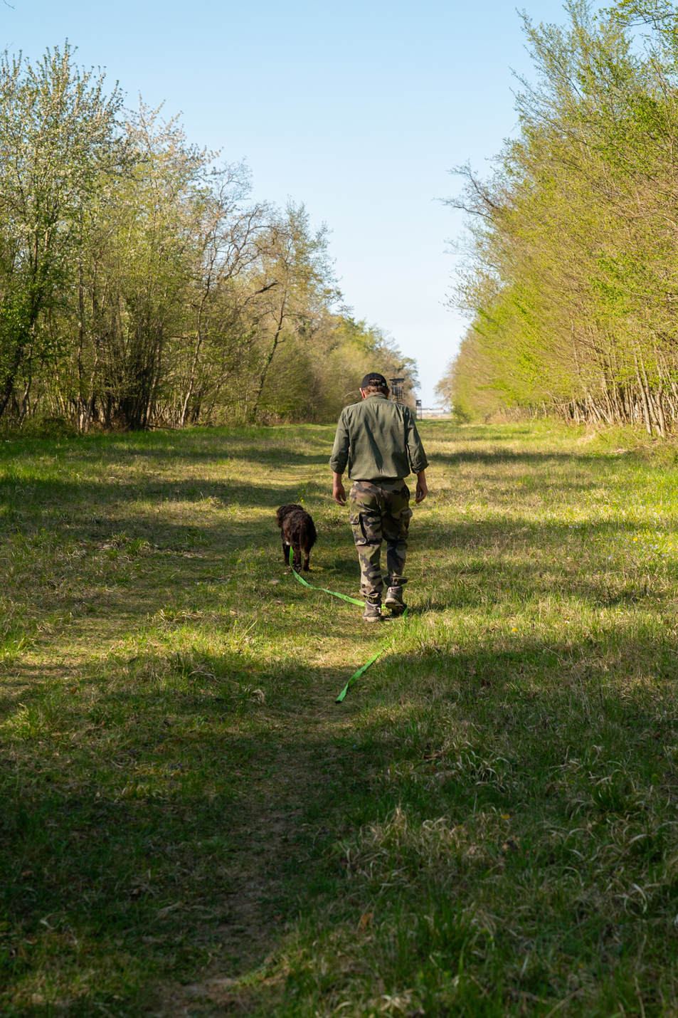 Longe WILD TRACKER X-Plore polyester 30mmx12m