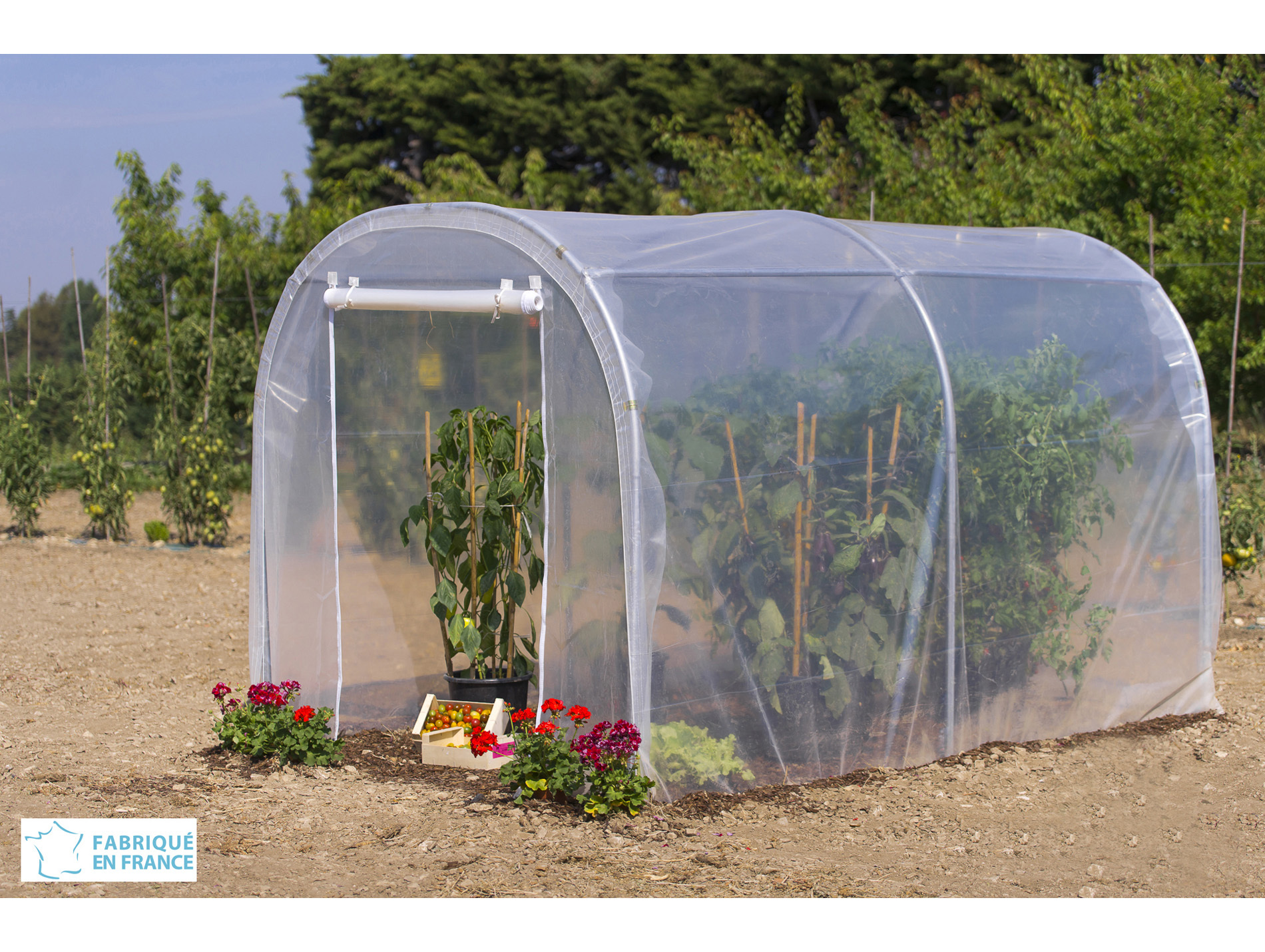 Serre tunnel maraîchère pieds droits 6m2 1 porte