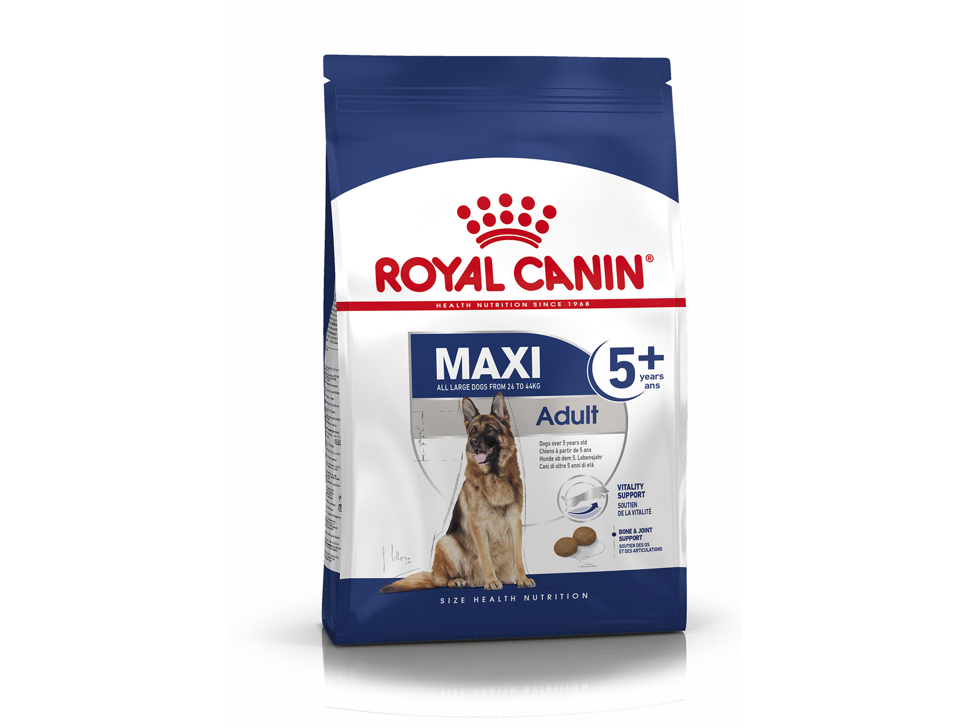 Croquettes grand chien adulte +5ans ROYAL CANIN 15kg