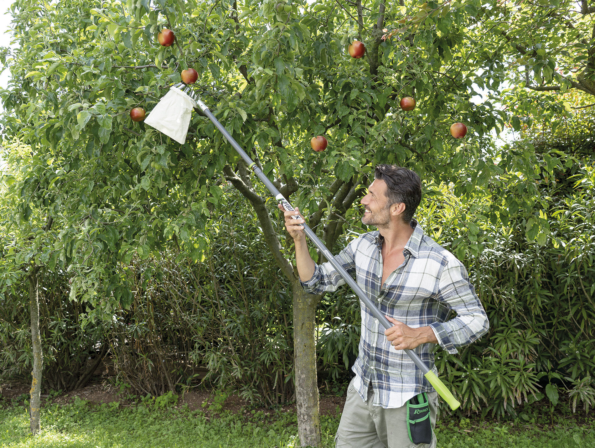 Manche télescopique RIBILAND pour cueille-fruits