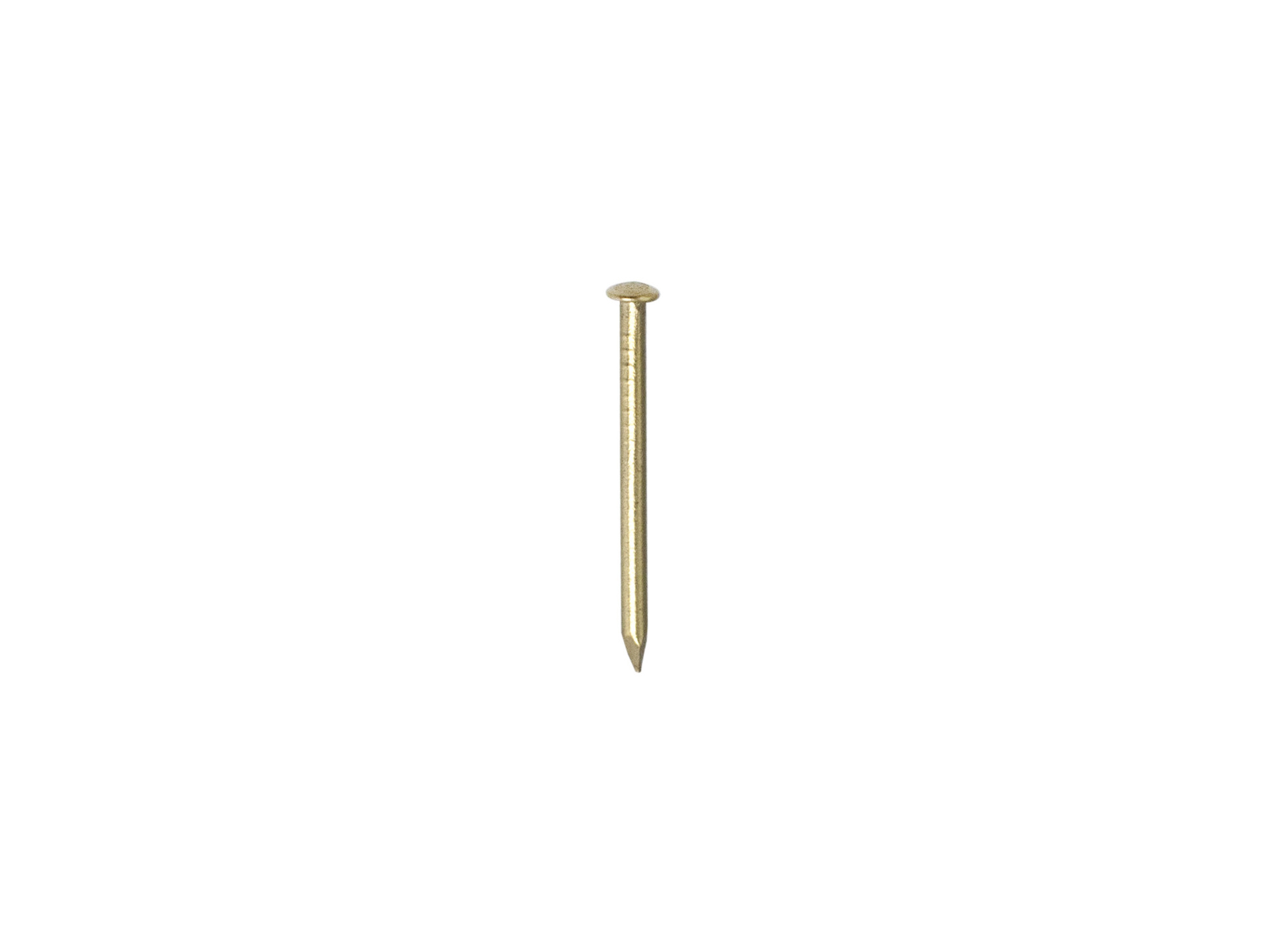 Pointe tête ronde laiton Ø1,5 L.20 - 40g
