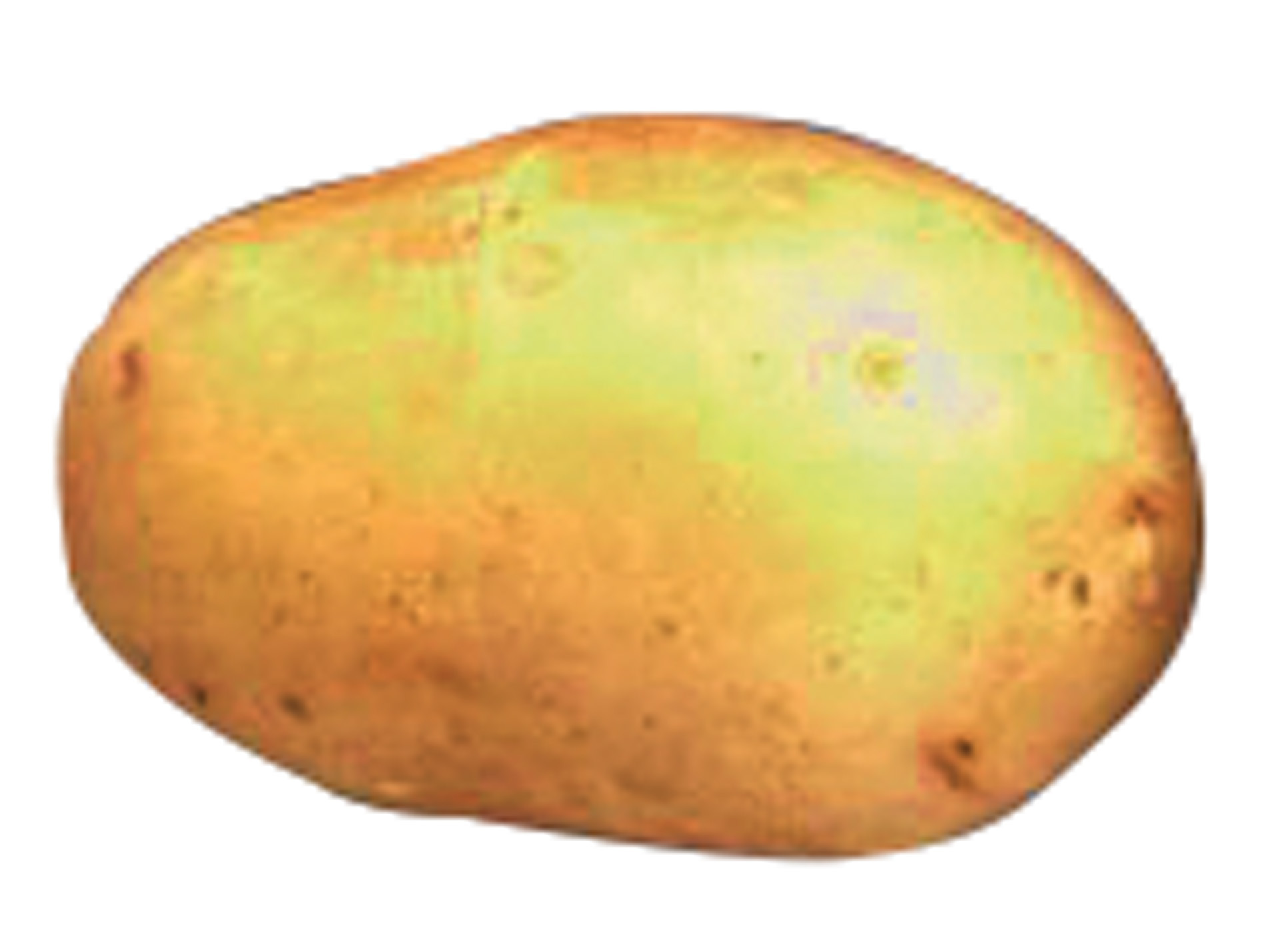 Plants de pommes de terre Gourmandine 32/35 25kg