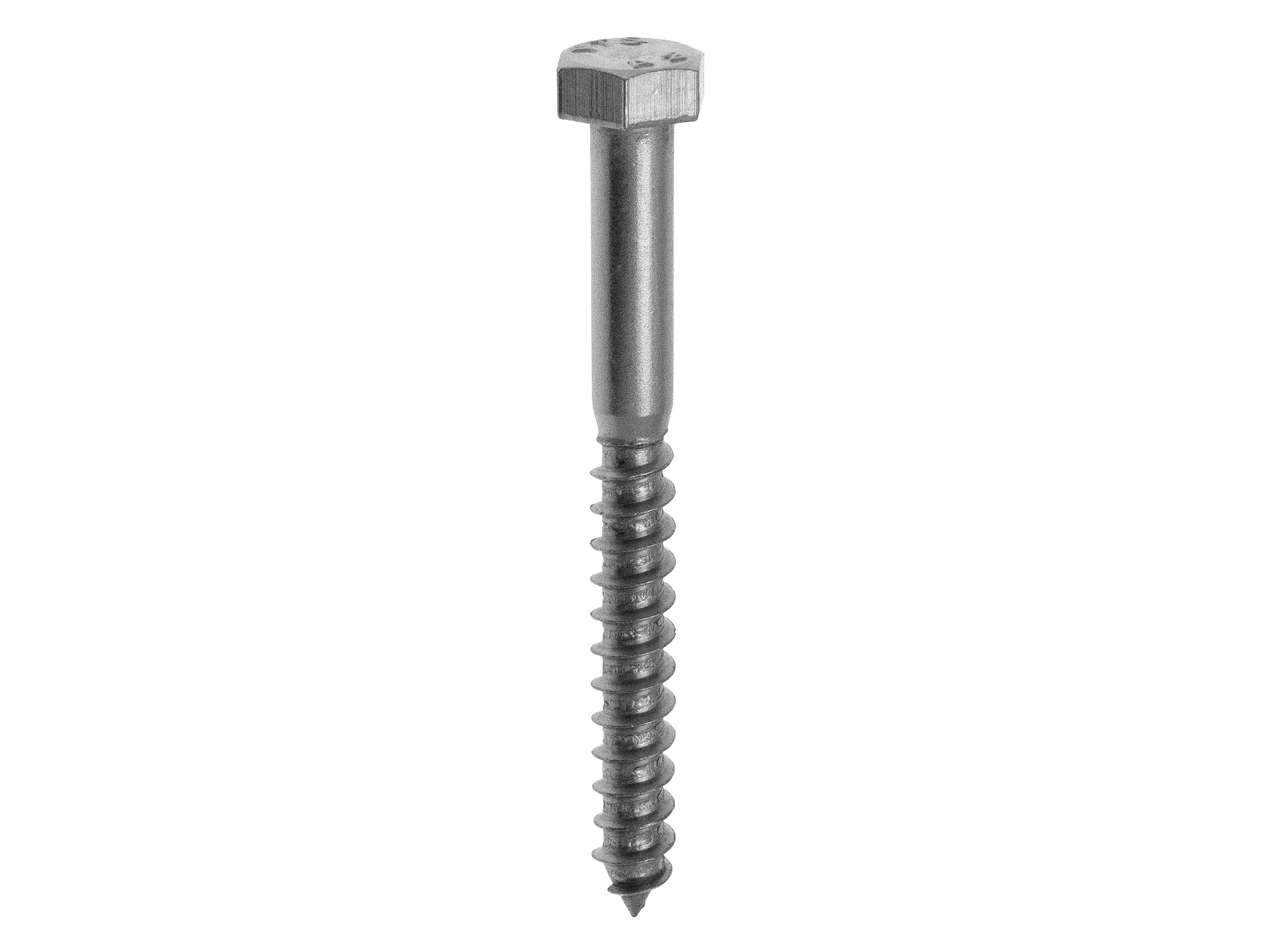 Tirefond Inox A2 Ø10 L.100 x2