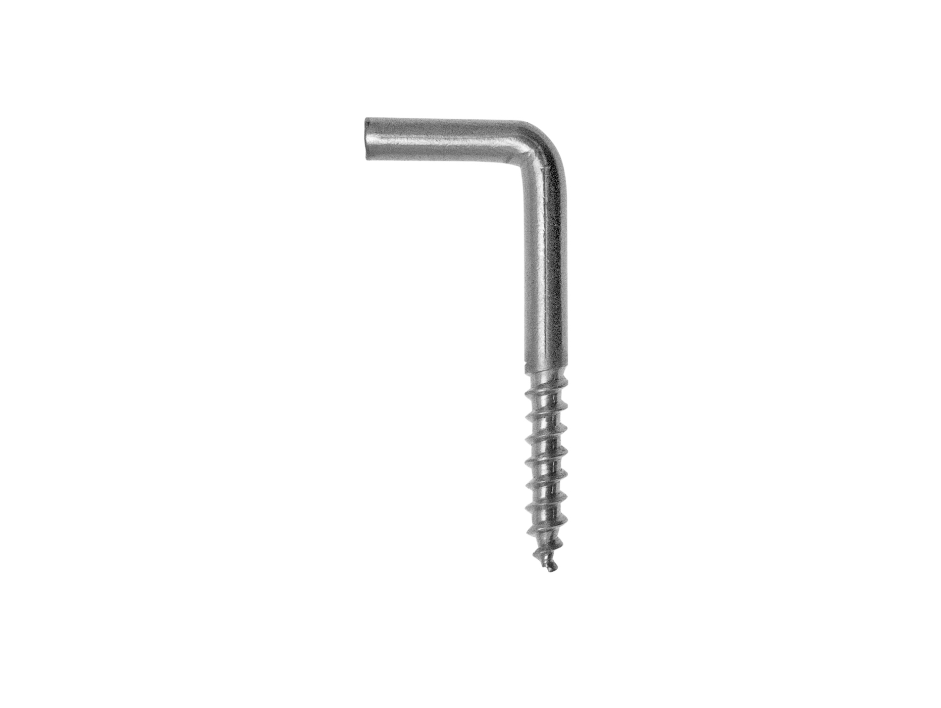 Gond à visser Inox A2 Ø3 L.30 x4