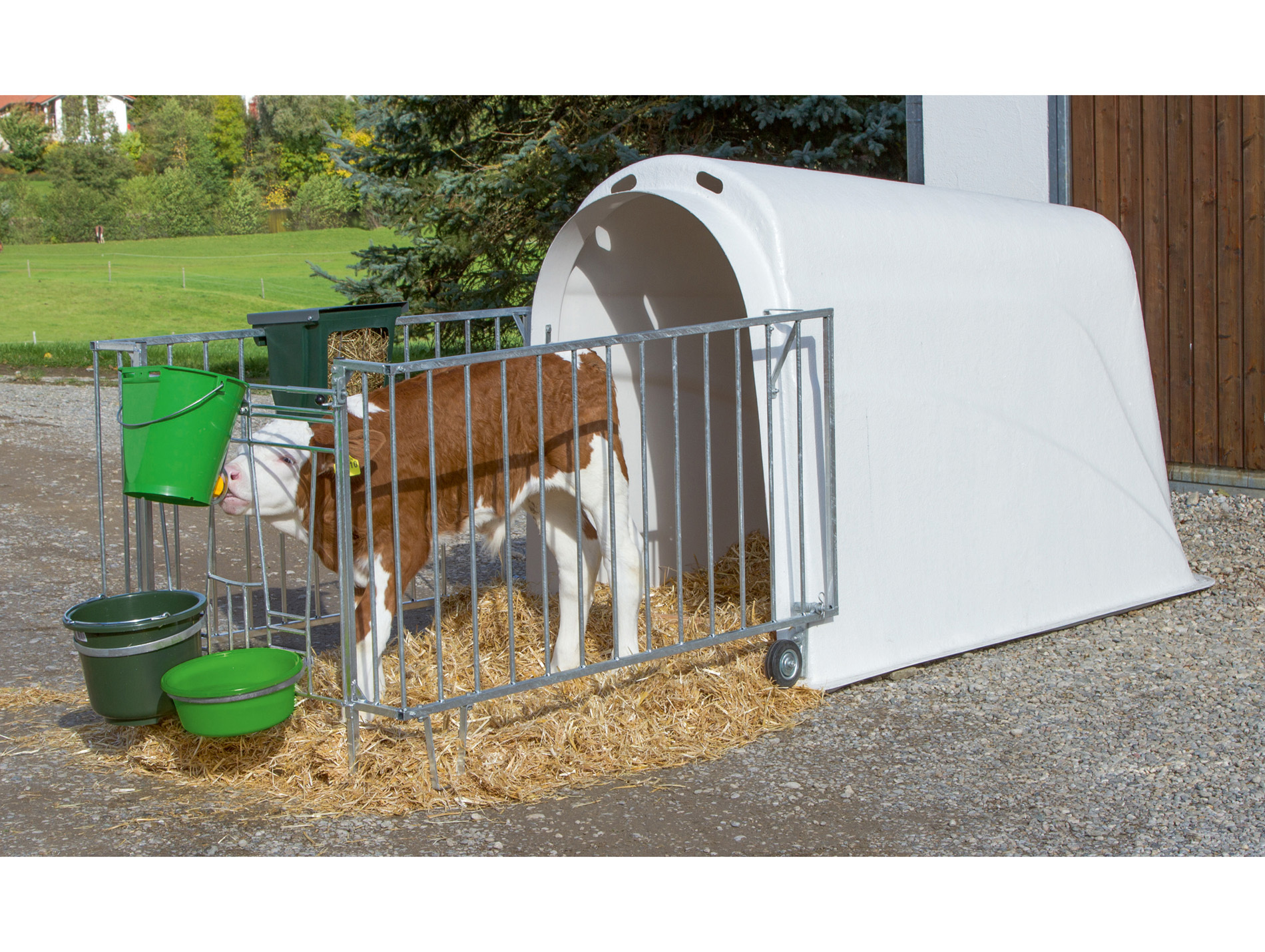 Niche veau KERBL master plus avec courette