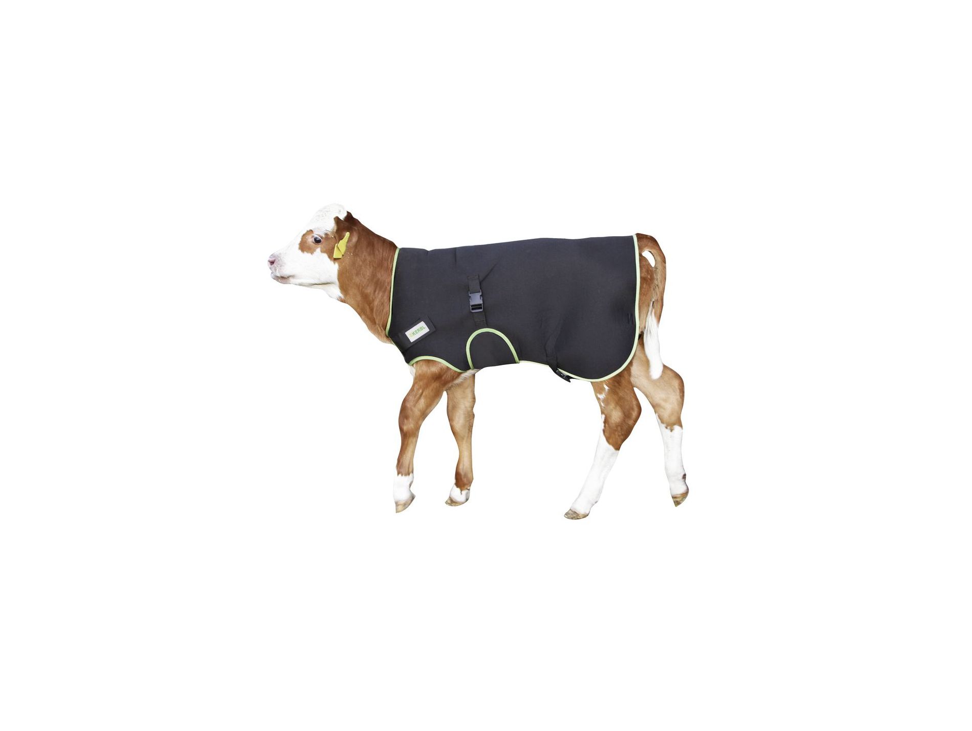 Couverture veau KERBL premium 80cm