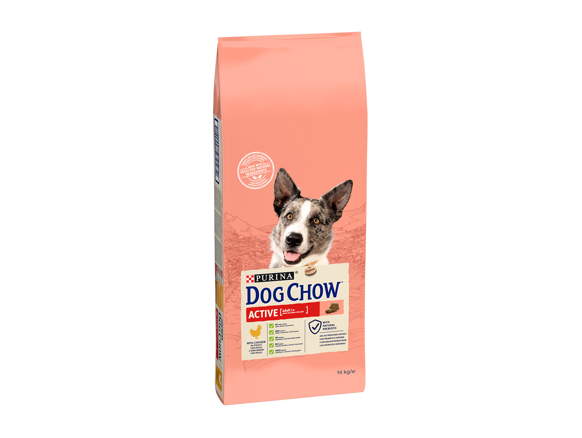 Croquettes chien adulte actif DOG CHOW poulet 14kg