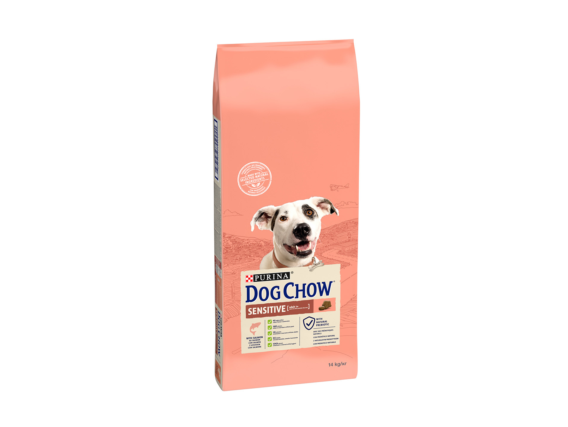 Croquettes chien adulte DOG CHOW Adult sensitive saumon 14kg
