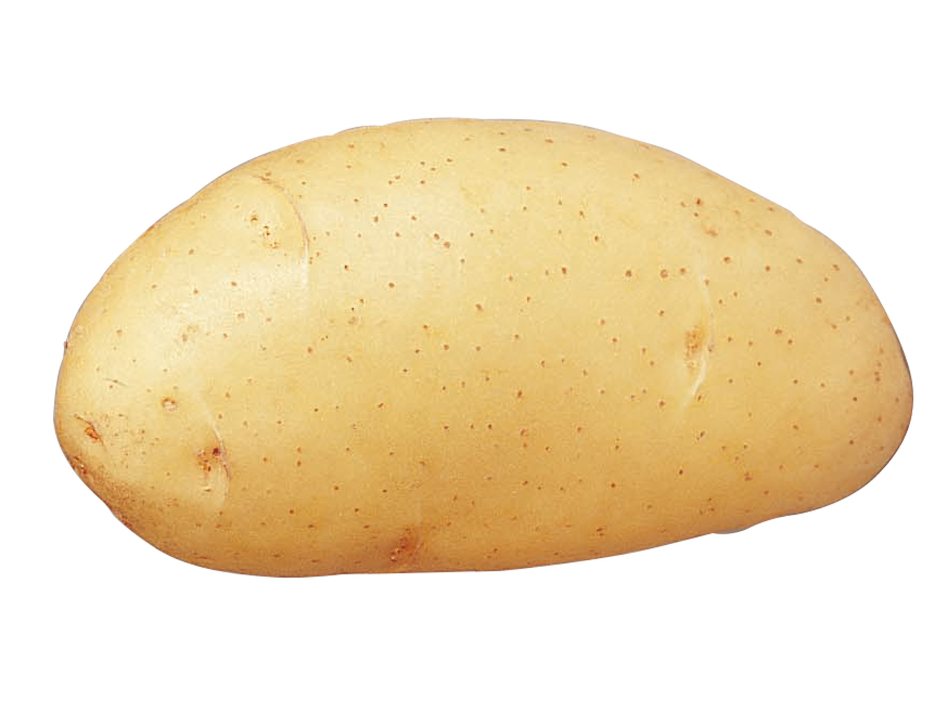 Plants de pommes de terre Spunta 35/45 5kg